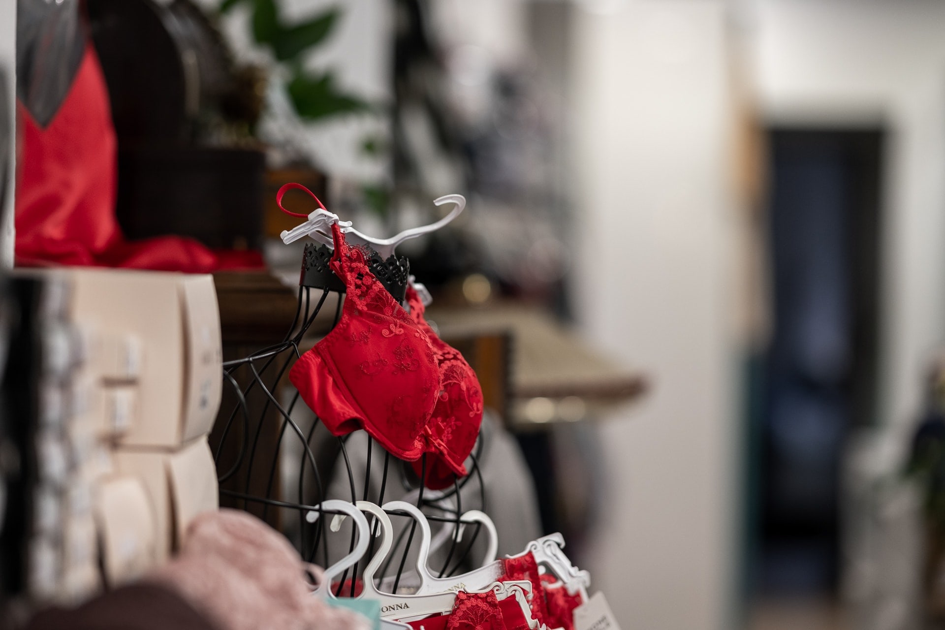 lingerie-argo-braunschweig-2022-danielsalinger-DZ7_4415