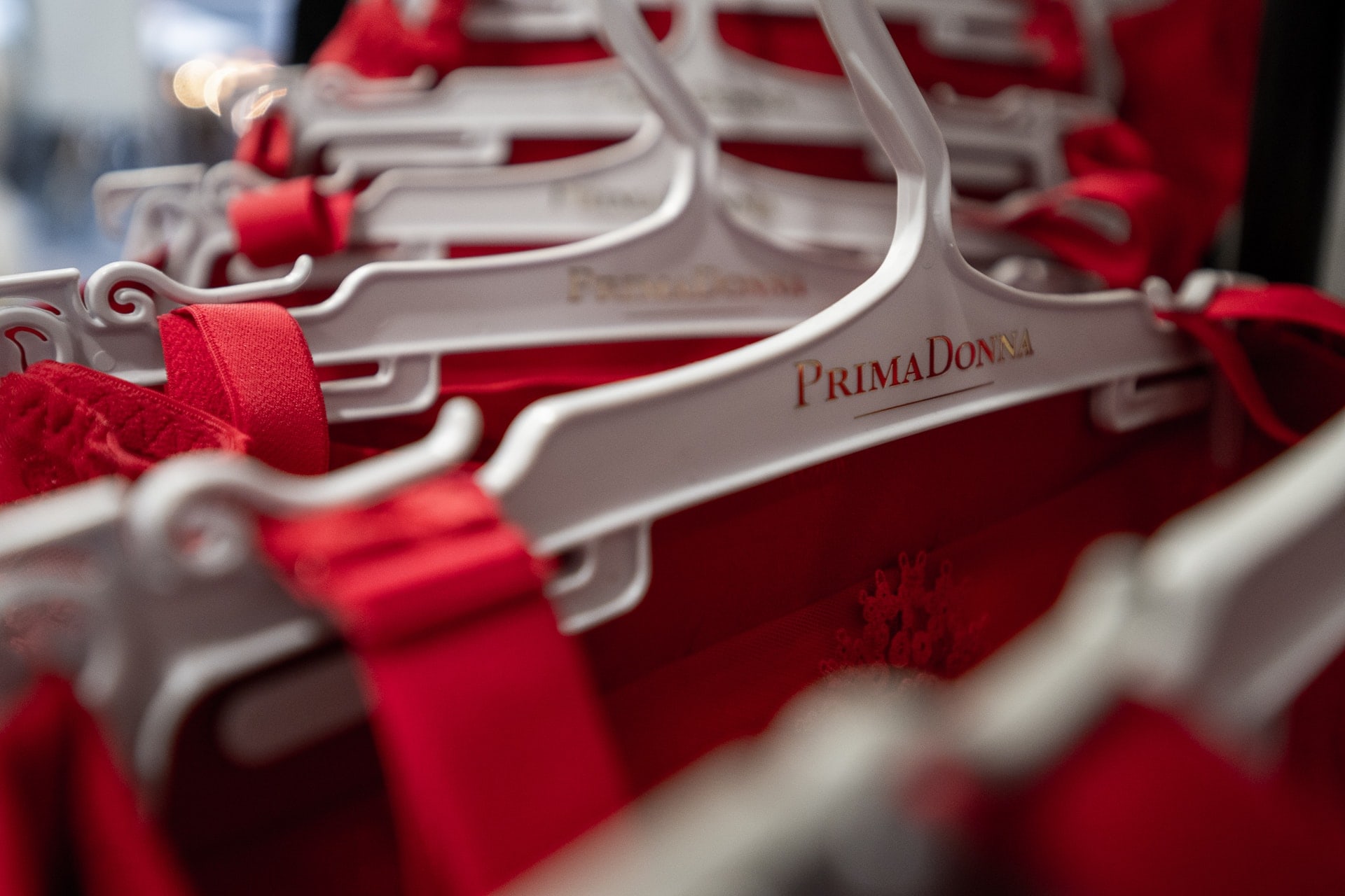 lingerie-argo-braunschweig-2022-danielsalinger-DZ7_4473