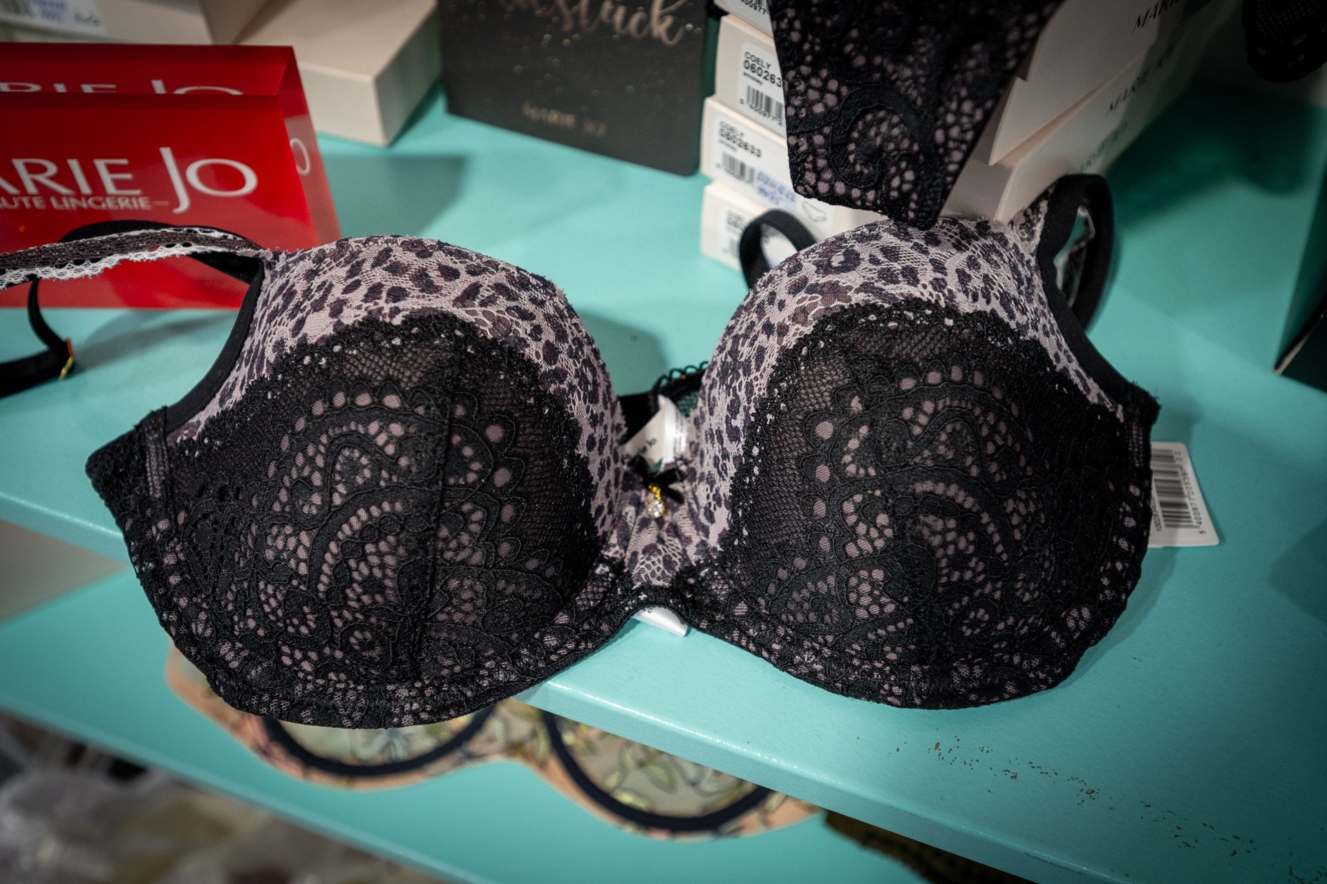 lingerie-argo-braunschweig-2022-danielsalinger-DZ7_4475